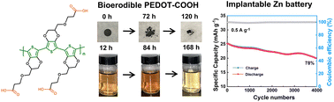 Graphical abstract: A biocompatible and fully erodible conducting polymer enables implanted rechargeable Zn batteries