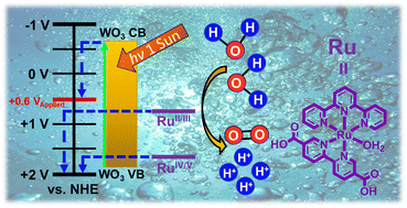 Graphical abstract: Photoelectrochemical water oxidation by a MOF/semiconductor composite