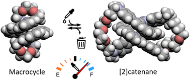 Graphical abstract: Transient self-assembly of metal–organic complexes