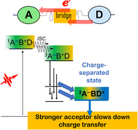 Graphical abstract: A stronger acceptor decreases the rates of charge transfer: ultrafast dynamics and on/off switching of charge separation in organometallic donor–bridge–acceptor systems