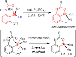 Graphical abstract: Palladium-catalyzed synthesis of 4-sila-4H-benzo[d][1,3]oxazines by intramolecular Hiyama coupling
