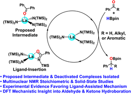 Graphical abstract: Mechanistic study of homoleptic trisamidolanthanide-catalyzed aldehyde and ketone hydroboration. Chemically non-innocent ligand participation