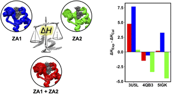 Graphical abstract: The role of loop dynamics in the prediction of ligand–protein binding enthalpy