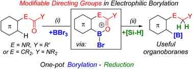 Graphical abstract: Amides as modifiable directing groups in electrophilic borylation