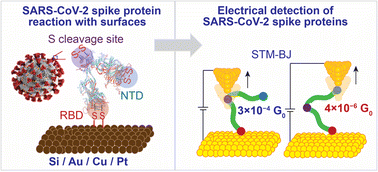 Graphical abstract: SARS-CoV-2 spike proteins react with Au and Si, are electrically conductive and denature at 3 × 108 V m−1: a surface bonding and a single-protein circuit study