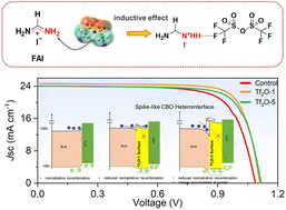 Graphical abstract: Constructing spike-like energy band alignment at the heterointerface in highly efficient perovskite solar cells