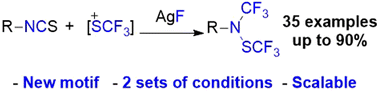 Graphical abstract: Novel N(SCF3)(CF3)-amines: synthesis, scalability and stability