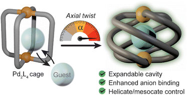 Graphical abstract: Maximized axial helicity in a Pd2L4 cage: inverse guest size-dependent compression and mesocate isomerism