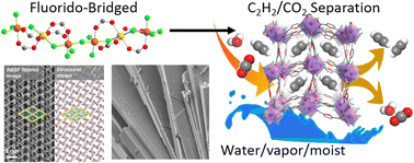 Graphical abstract: Fluorido-bridged robust metal–organic frameworks for efficient C2H2/CO2 separation under moist conditions