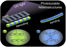 Graphical abstract: Photo-controllable heterostructured crystals of metal–organic frameworks via reversible photocycloaddition