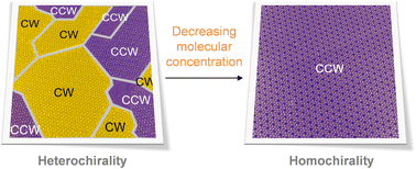 Graphical abstract: Concentration–modulated global organizational chirality at the liquid/solid interface