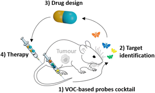 Graphical abstract: Induced-volatolomics for the design of tumour activated therapy
