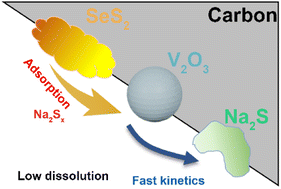 Graphical abstract: Double design of host and guest synergistically reinforces the Na-ion storage of sulfur cathodes