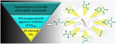 Graphical abstract: High-throughput screen with the l,d-transpeptidase LdtMt2 of Mycobacterium tuberculosis reveals novel classes of covalently reacting inhibitors