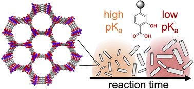 Graphical abstract: Effect of modulator ligands on the growth of Co2(dobdc) nanorods