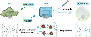 Graphical abstract: Chemical signal regulated injectable coacervate hydrogels