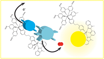 Graphical abstract: Water oxidation by a dye-catalyst diad in natural sunlight: timing and coordination of excitations and reactions across timescales of picoseconds to hours