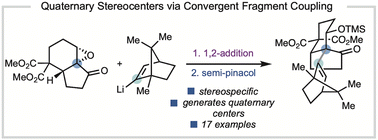 Graphical abstract: A convergent fragment coupling strategy to access quaternary stereogenic centers