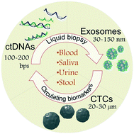 Graphical abstract: Recent advances in liquid biopsy technologies for cancer biomarker detection