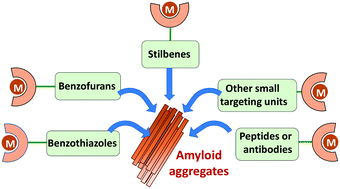 Graphical abstract: Metal complexes for the visualisation of amyloid peptides