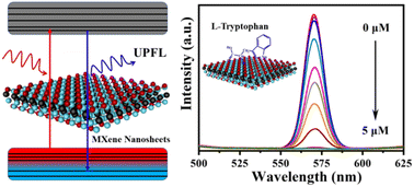 Graphical abstract: Upconversion fluorescence of MXene nanosheets and the sensitive detection of l-tryptophan