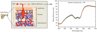 Graphical abstract: Diffuse reflectance-based spectroscopic technique for real-time estimation of localized blood oxygenation parameters from human fingertips: a preliminary study