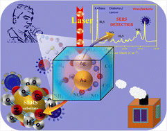 Graphical abstract: Nanomaterial-based surface-enhanced Raman scattering spectroscopy for sensing and diagnostics of gas molecules in environment and healthcare