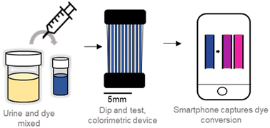 Graphical abstract: Moving microcapillary antibiotic susceptibility testing (mcAST) towards the clinic: unravelling kinetics of detection of uropathogenic E. coli, mass-manufacturing and usability for detection of urinary tract infections in human urine