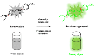 Graphical abstract: Salicylaldehyde-based molecular sensor with one facile step toward visual detection of viscosity