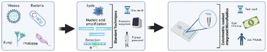 Graphical abstract: Microfluidic-based colorimetric nucleic acid detection of pathogens