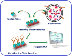 Graphical abstract: Nanomaterials for miRNA detection: the hybridization chain reaction strategy