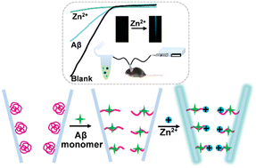 Graphical abstract: A stimuli-responsive polymer modified nanopore for measuring β-amyloid peptide and zinc ions in brains of live mice with Alzheimer's disease