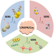 Graphical abstract: Current advance of CRISPR/Cas-based SERS technology