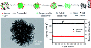 Graphical abstract: In situ construction of flower-like CoP-in-carbon anode materials for high-rate and long-term lithium ion batteries