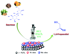 Graphical abstract: Catalytic conversion of sucrose to 1,2-propanediol over alumina-supported Ni–Mo bimetallic catalysts