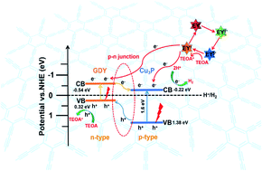 Graphical abstract: A mechanochemically prepared graphdiyne (CnH2n−2) based Cu3P@GDY p–n heterojunction for efficient photocatalytic hydrogen evolution