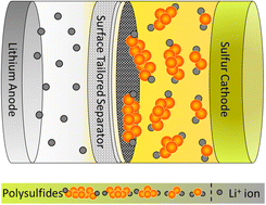 Graphical abstract: Polysulfide shuttle mitigation through a tailored separator for critical temperature energy-dense lithium–sulfur batteries