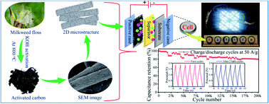 Graphical abstract: KOH-activated microstructured carbon derived from Asclepias syriaca floss for extraordinary 200k cycle stability in supercapacitors