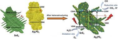 Graphical abstract: Selective CO2-to-CO photoreduction over an orthophosphate semiconductor via the direct Z-scheme heterojunction of Ag3PO4 quantum dots decorated on SnS2 nanosheets