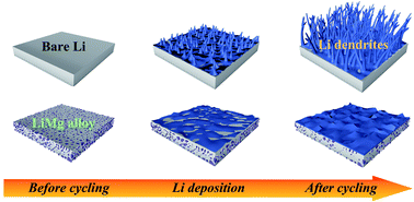 Graphical abstract: A solid–solution-based Li–Mg alloy for highly stable lithium metal anodes