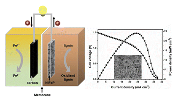 Graphical abstract: Efficient direct lignin fuel cells enabled by hierarchical nickel–iron phosphide nanosheets as an anode catalyst