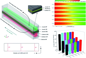 Graphical abstract: Combination effect of flow channel configuration and anode GDL porosity on mass transfer and performance of PEM water electrolyzers