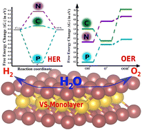 Graphical abstract: Single atom functionalization in vanadium dichalcogenide monolayers: towards enhanced electrocatalytic activity