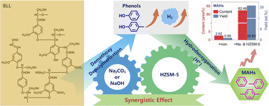 Graphical abstract: Thermal conversion of black liquor solids to monomeric aromatic hydrocarbons based on synergistic catalysis by Na compounds and HZSM-5