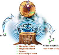 Graphical abstract: Chemical CO2 fixation using a green biocatalytic system based on Ugi conjugated cobalt phthalocyanine on cellulose