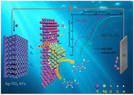 Graphical abstract: Complementary metal–semiconductor interactions on Ag-TiO2 NT heterojunction for the efficient electrochemical reduction of 5-hydroxymethylfurfural
