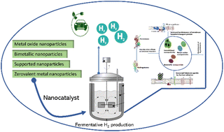 Graphical abstract: Metals and metallic composites as emerging nanocatalysts for fermentative hydrogen production