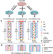 Graphical abstract: Nanochannel-dependent power generation performance of NiAl-LDH/SiO2-based generators driven by natural water evaporation