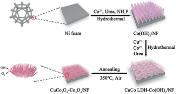 Graphical abstract: Chrysanthemum-like spinel nanomaterials assembled with bundled nanowires as an efficient catalyst for the oxygen evolution reaction