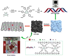 Graphical abstract: Polypyrrole hydrogel as a universal precursor for the target preparation of heteroatom-doped hierarchical carbon with atomically distributed metal sites towards high-efficiency ORR and Zn–air batteries